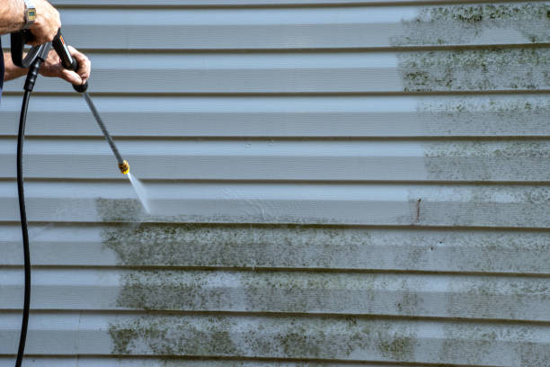 Best Garage Cleanout  in Sullivan, MO